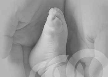 Fertilização in Vitro: Guia Completo │ Dr. Marcello Rocco